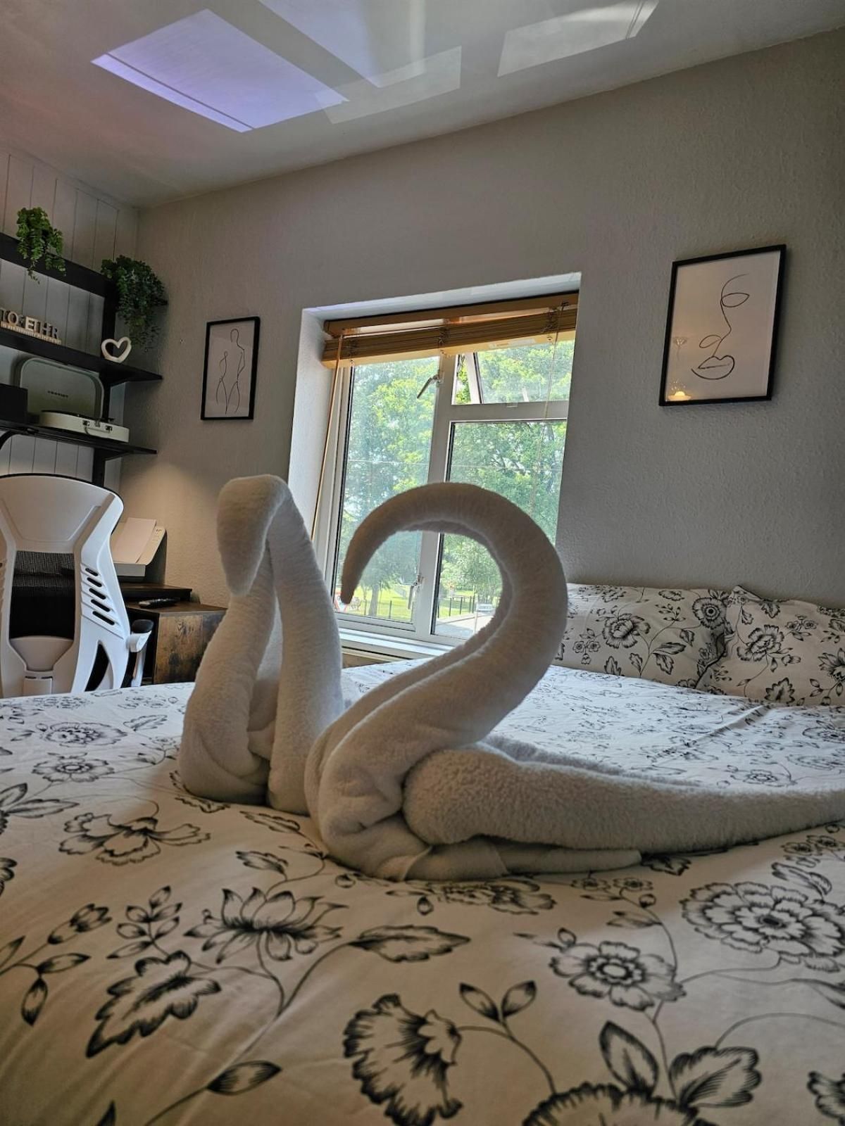 Large Double Room