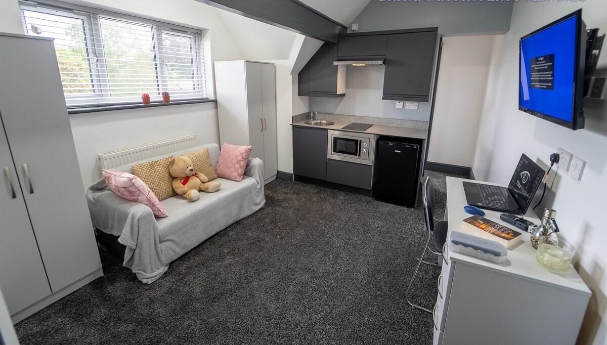 Studio-Large-Ensuite with Shower-Studio 11