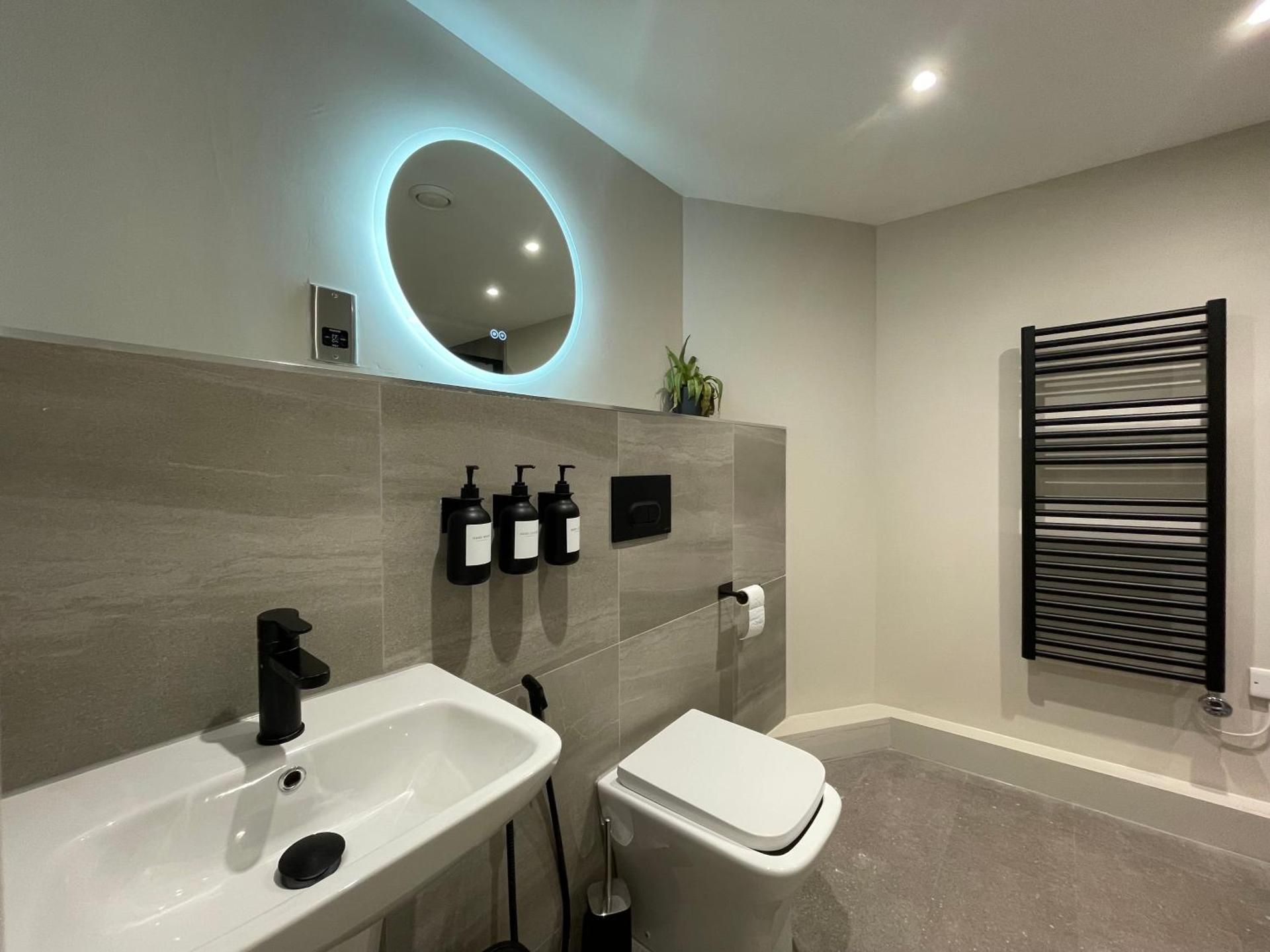 Deluxe One-Bedroom Apartment with City View