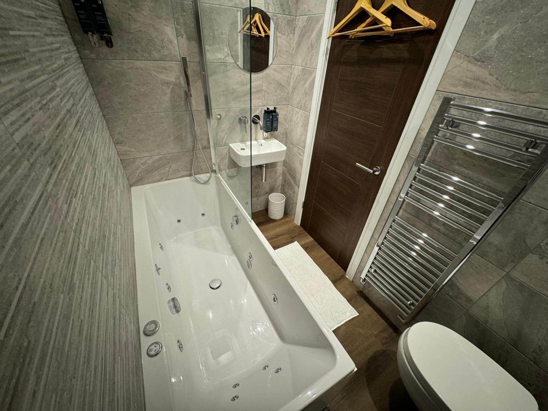 Deluxe One-Bedroom Apartment