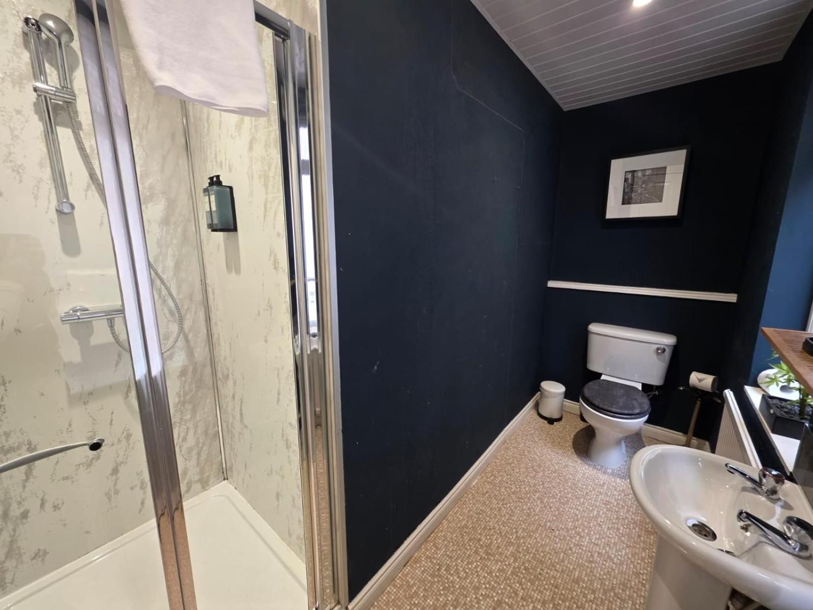 Deluxe One-Bedroom Apartment