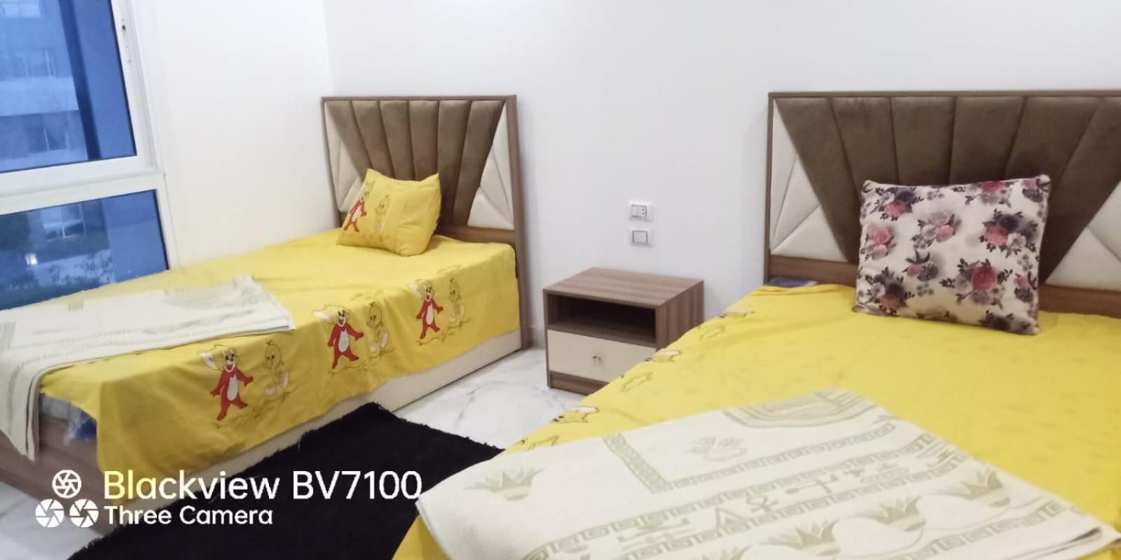 Three-Bedroom Apartment with View