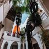 Riad Alwane