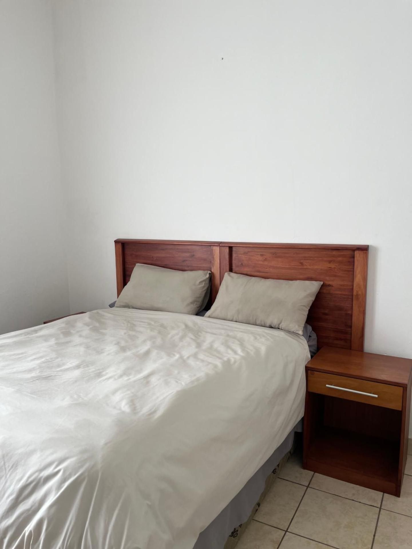 African Violet Standard Family Room 2