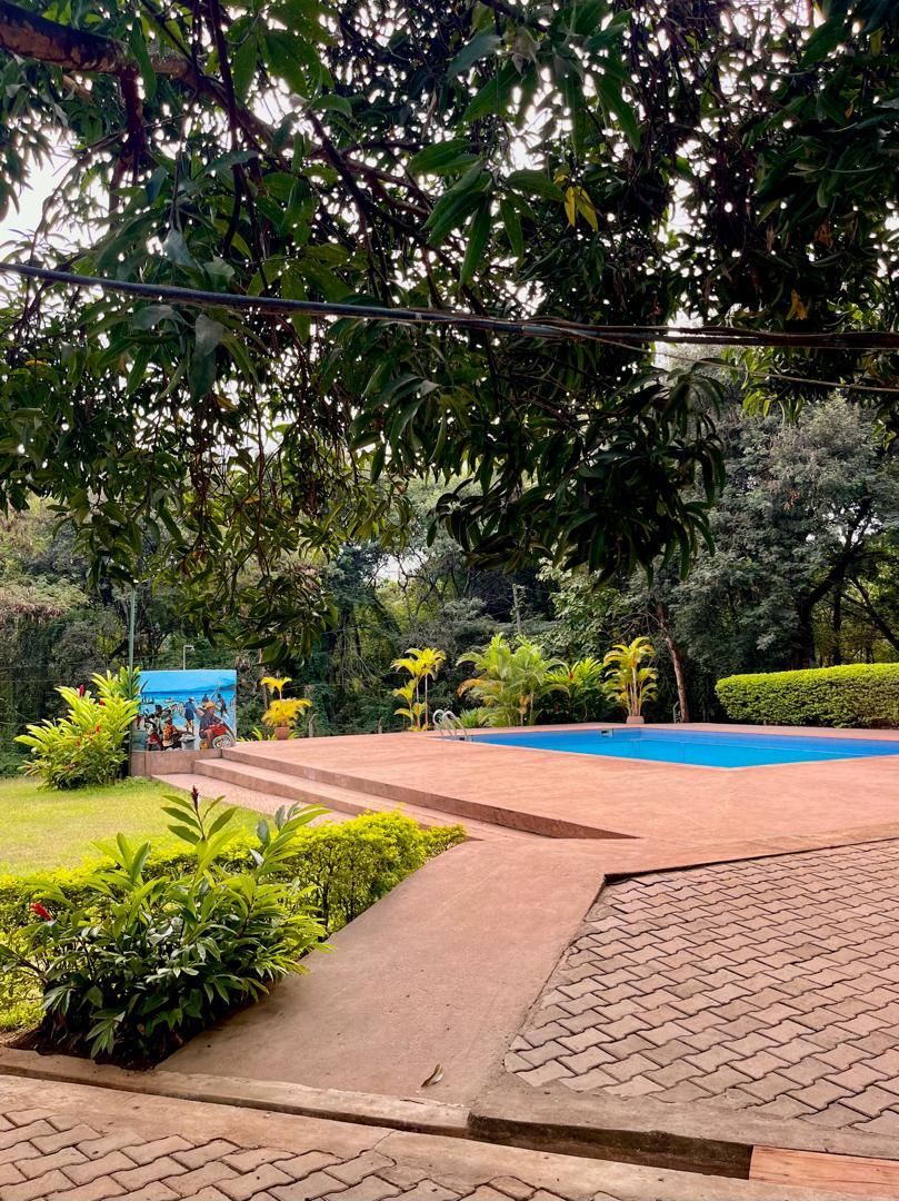 swimming pool [outdoor]