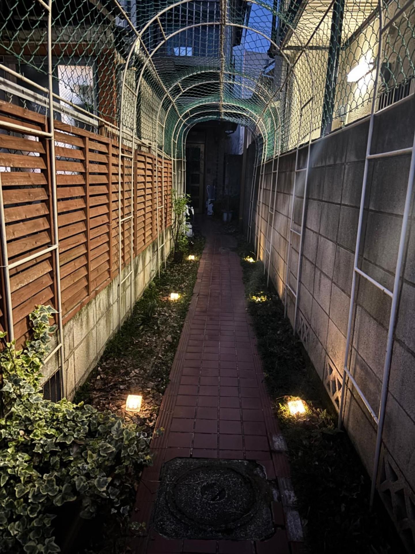 陽だまりのうたたねこ