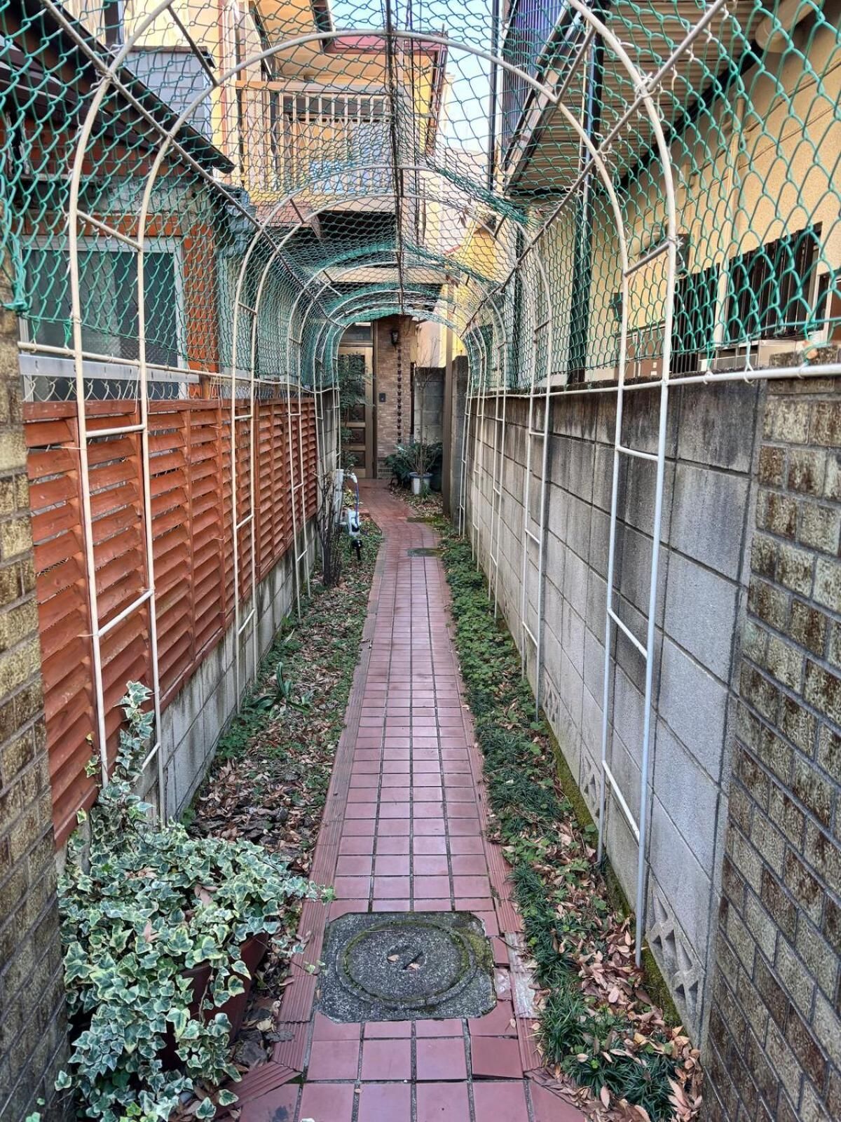 陽だまりのうたたねこ