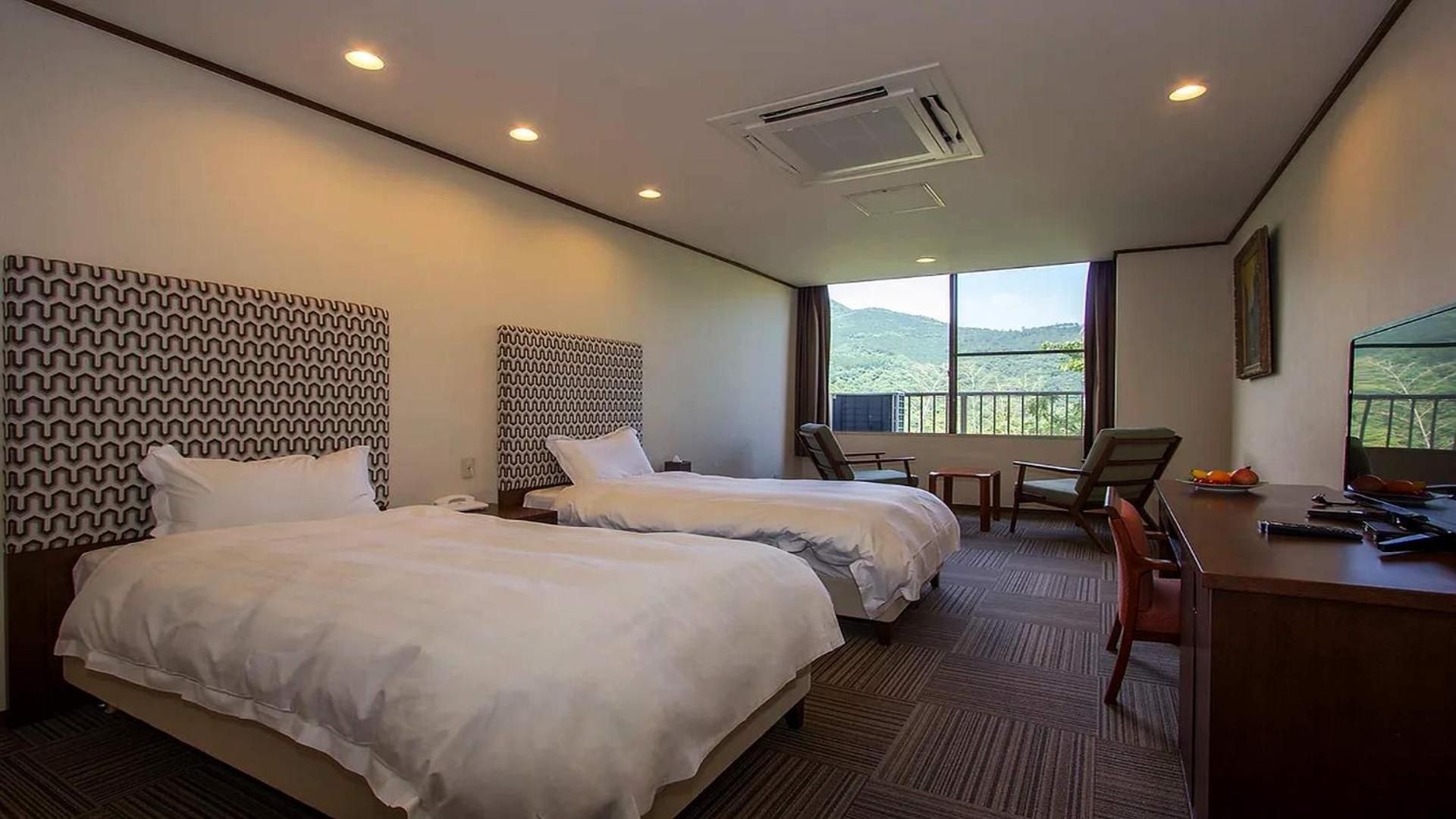 Superior Double or Twin Room