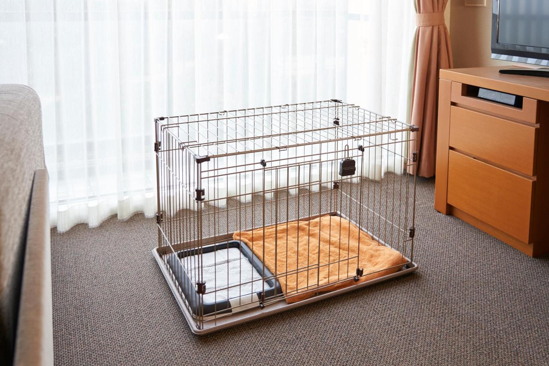 Japanese-Style Quadruple Room