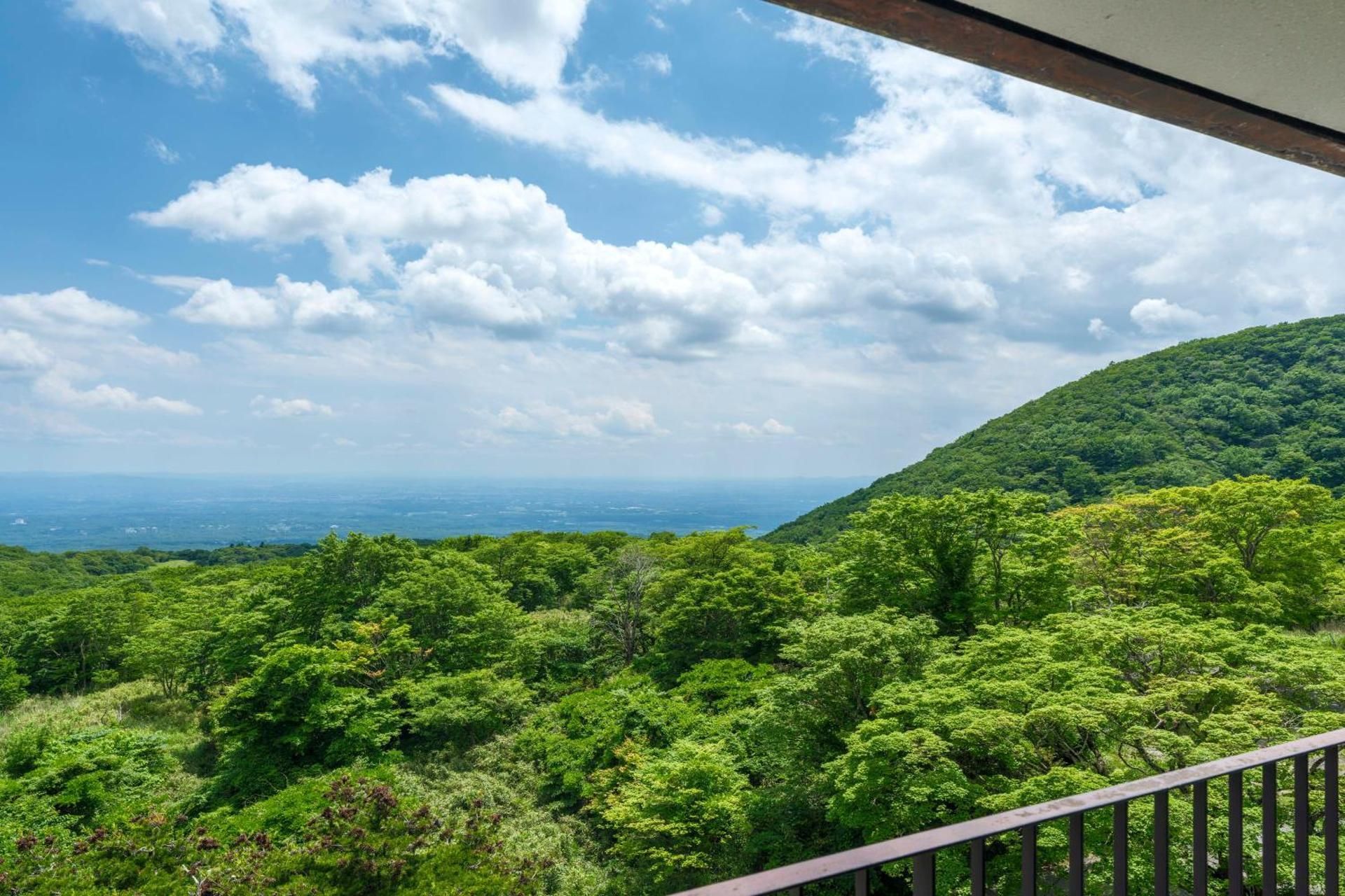 Japanese Style Accessible Room, Non Smoking (No Room Cleaning Service)