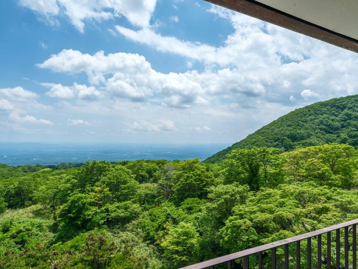 Eco Plan, Accessible Room with Private Bathroom - Non-Smoking, Housekeeping needs Additional Cost