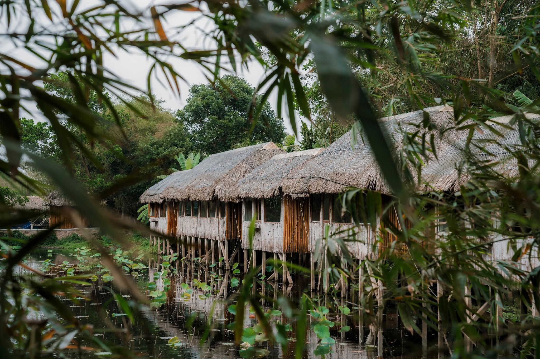 Khu Sinh Thái Rừng Hà Gia 