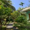 Bến Tre Homestay