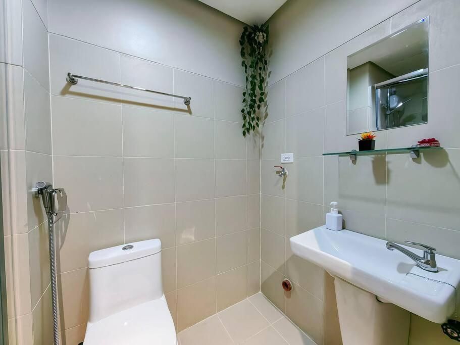 One Bedroom - Apartment