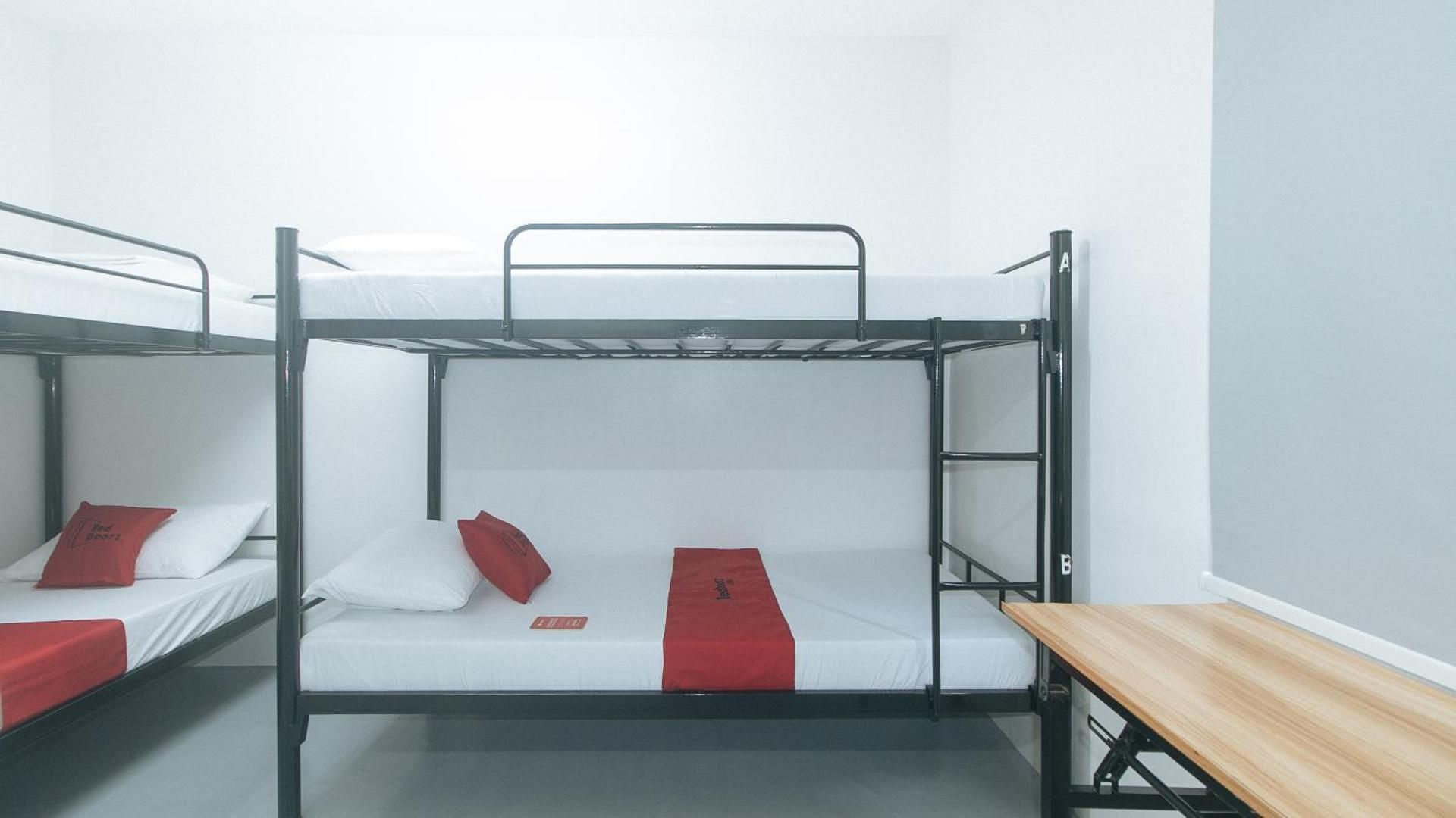 Bunk Bed in a Mixed Dormitory