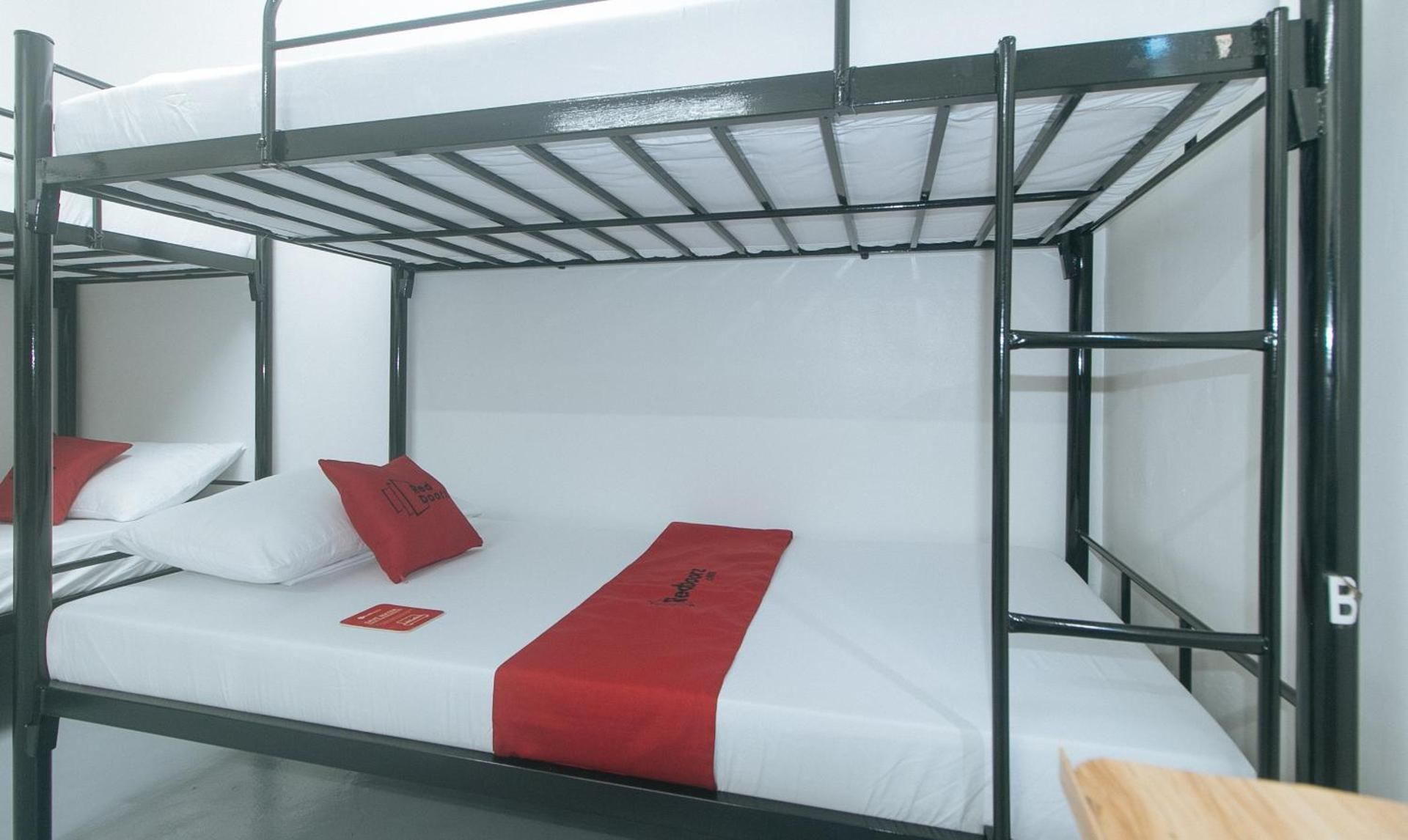 Bunk Bed in a Mixed Dormitory