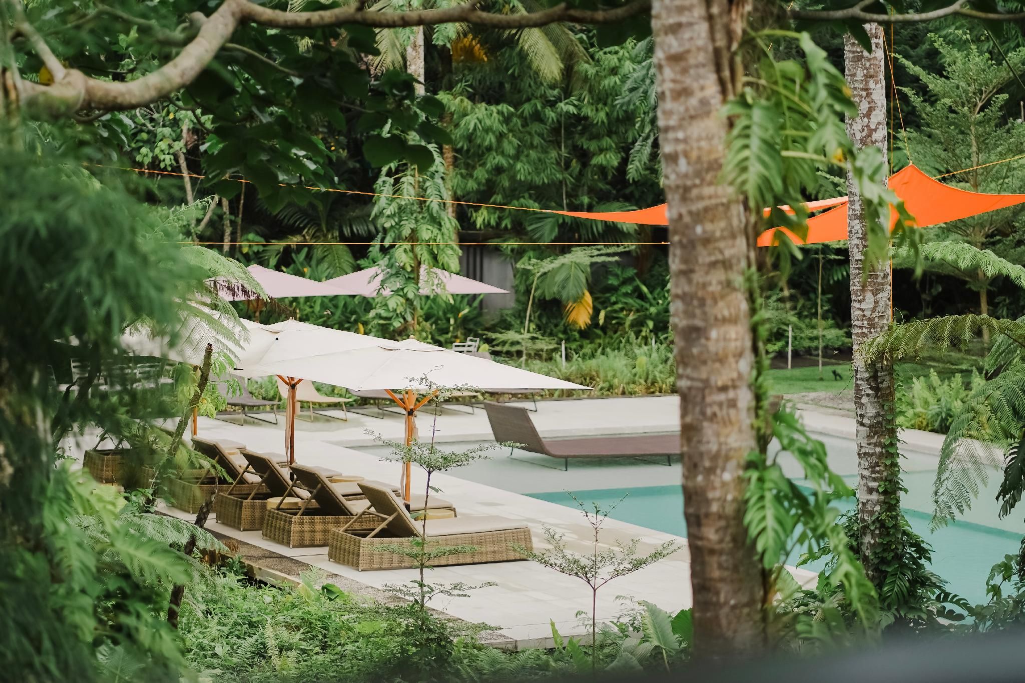 swimming pool [outdoor]