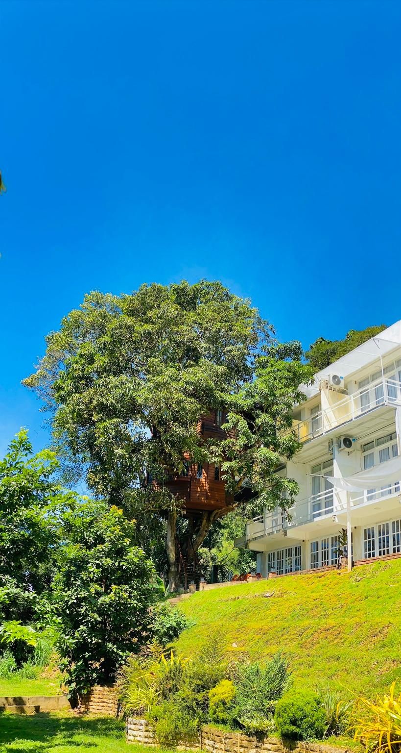 1a7563ebc216dca1210925b6d4211696