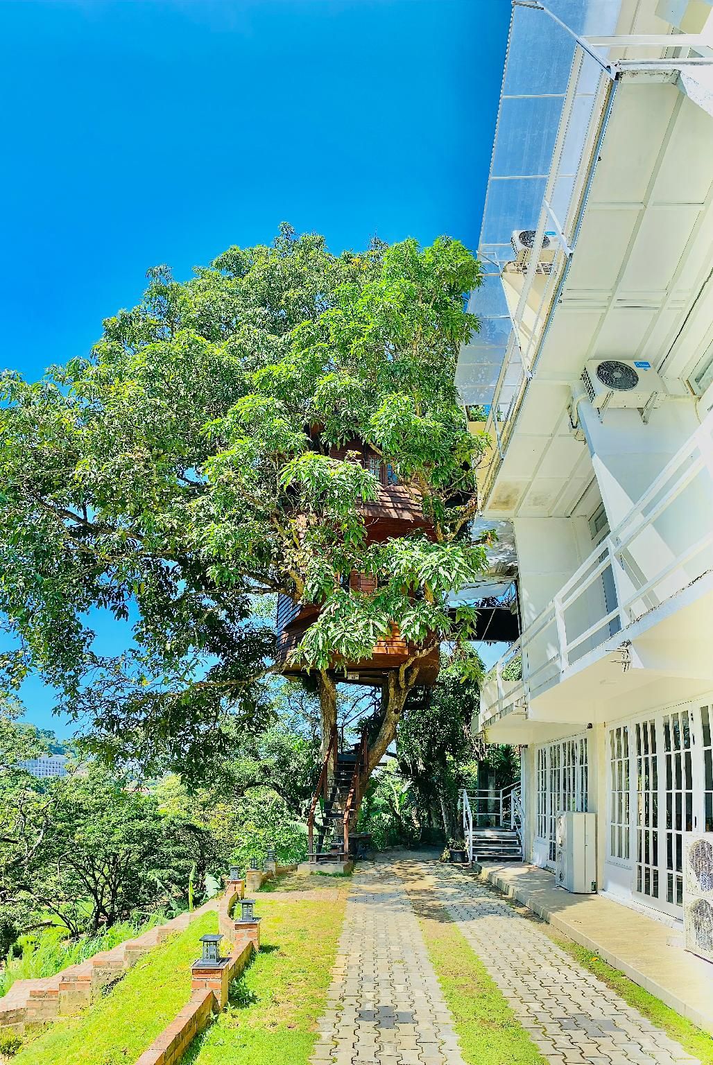 c6b2a9581474f33899554158d19c2371