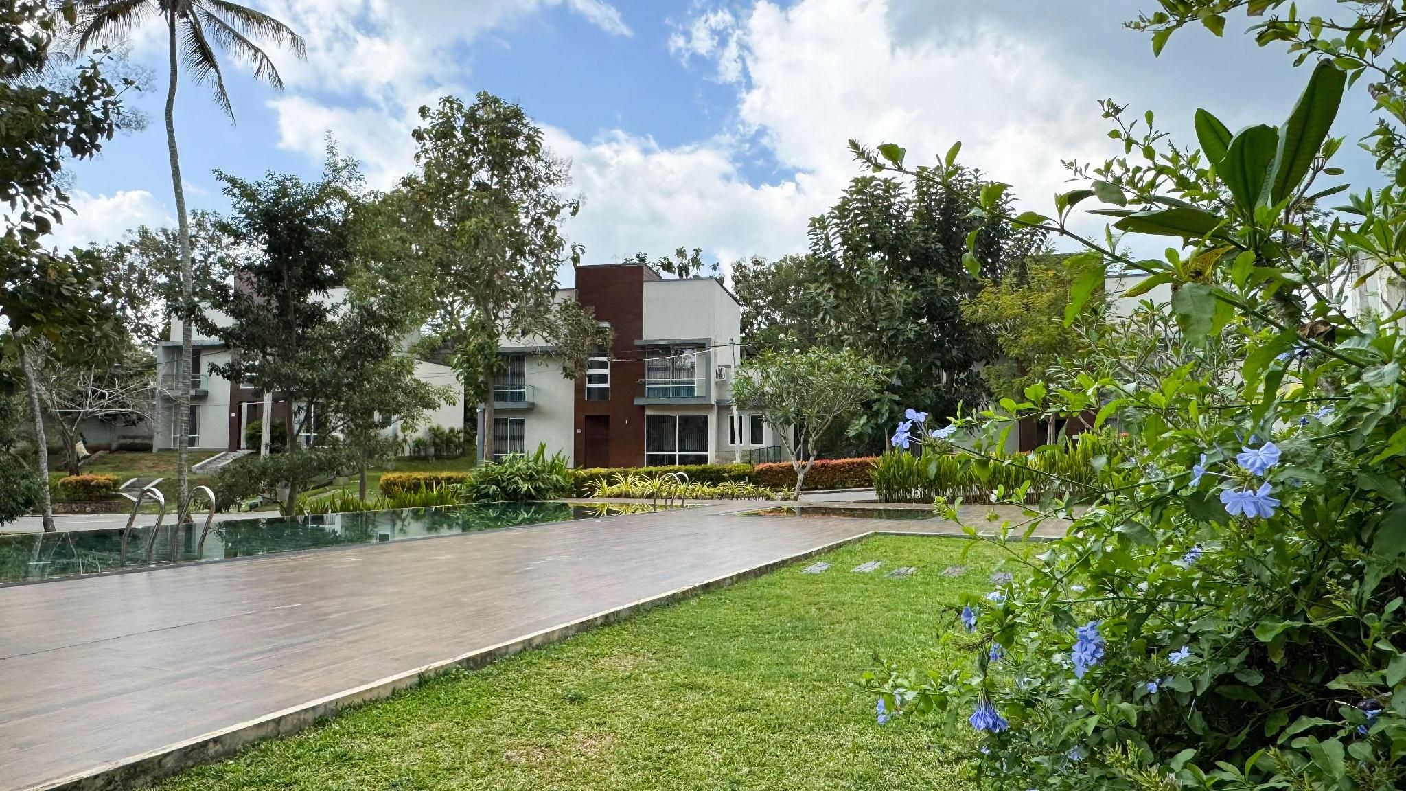 swimming pool [outdoor]