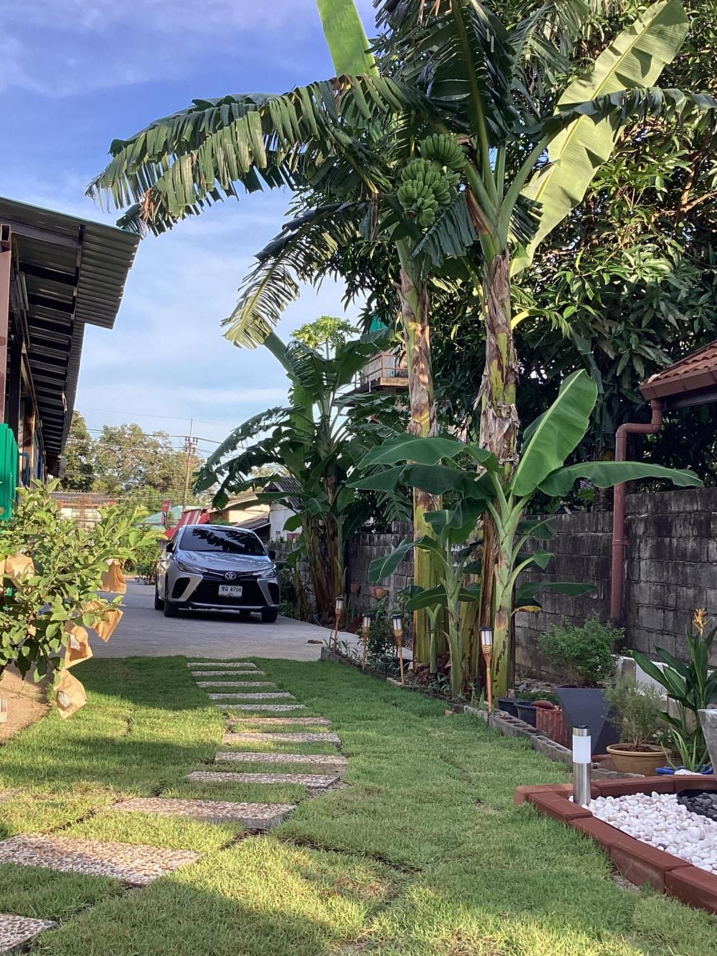 Sunshine guesthouse
