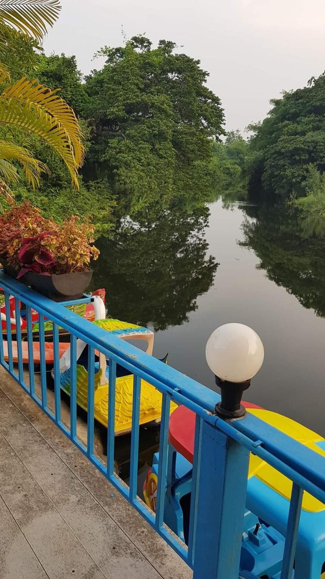 surrounding environment