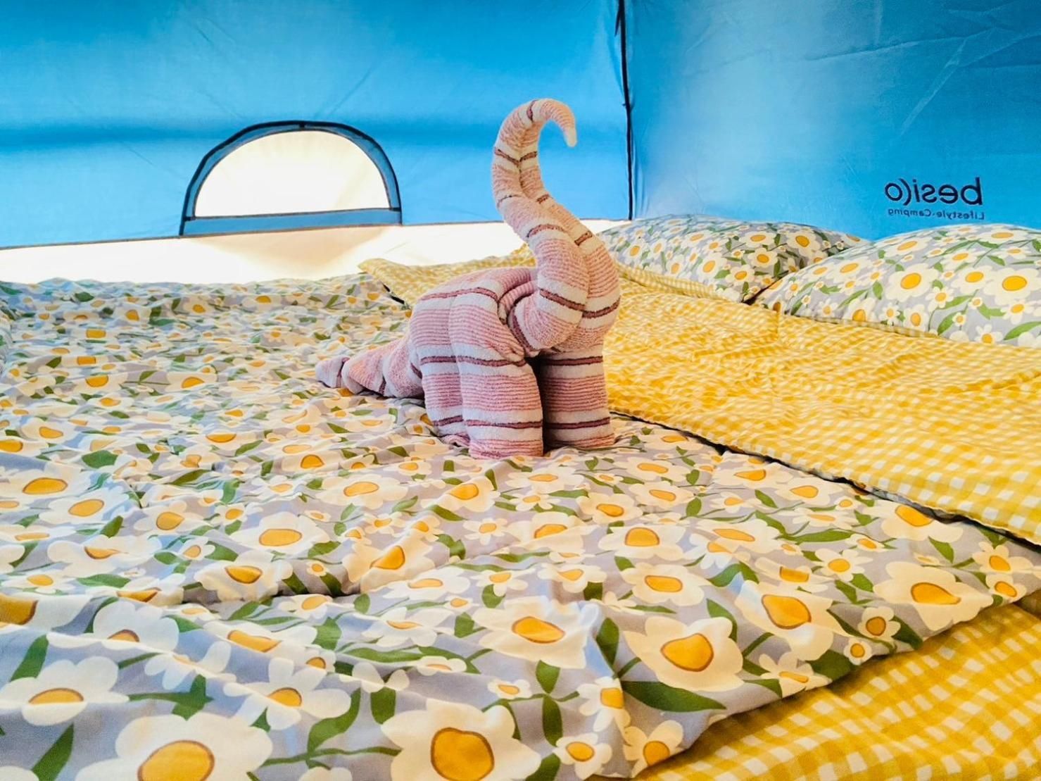 Tent (2 Adults) 