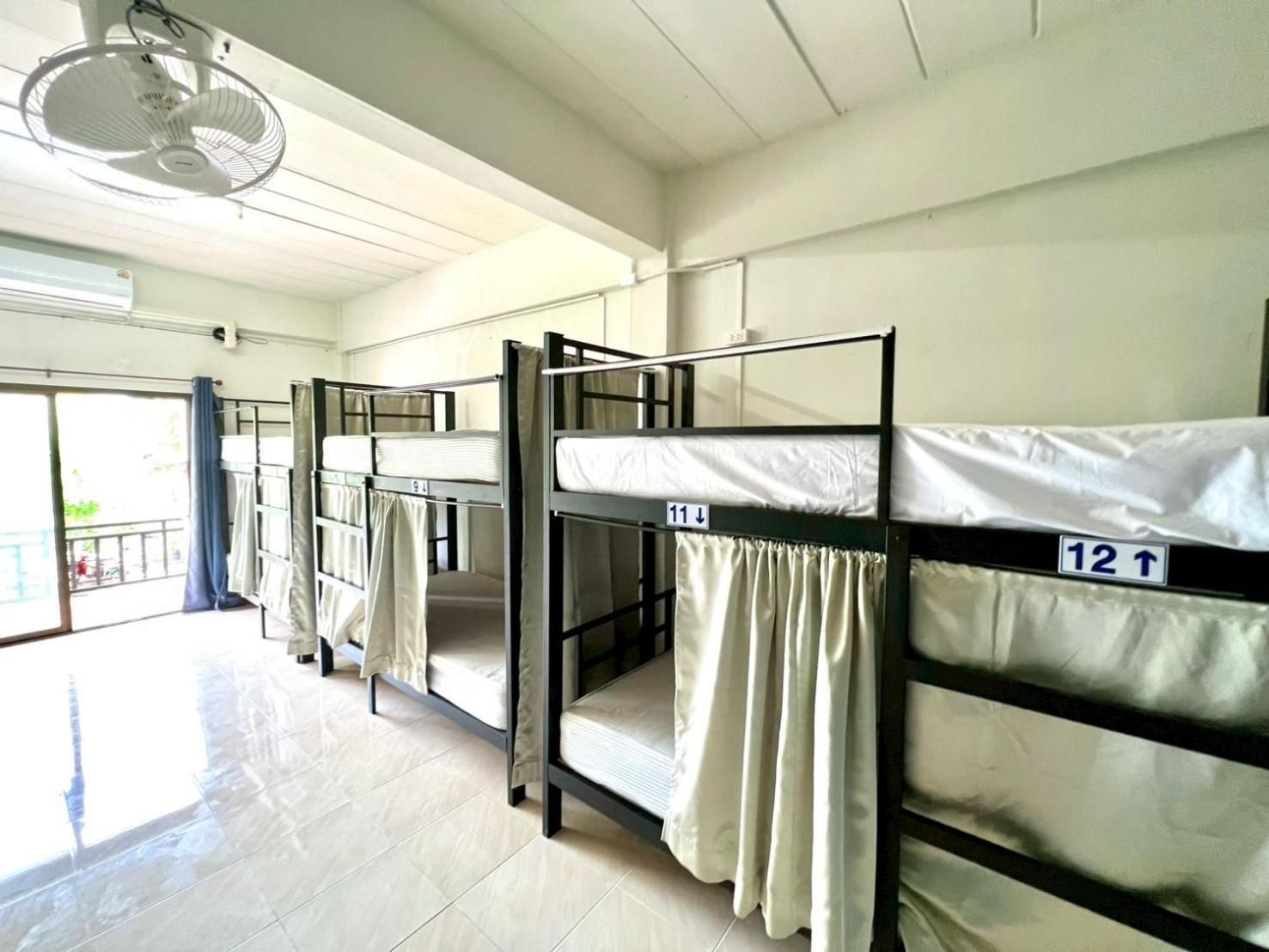 Bunk Bed in Mixed Dormitory Room