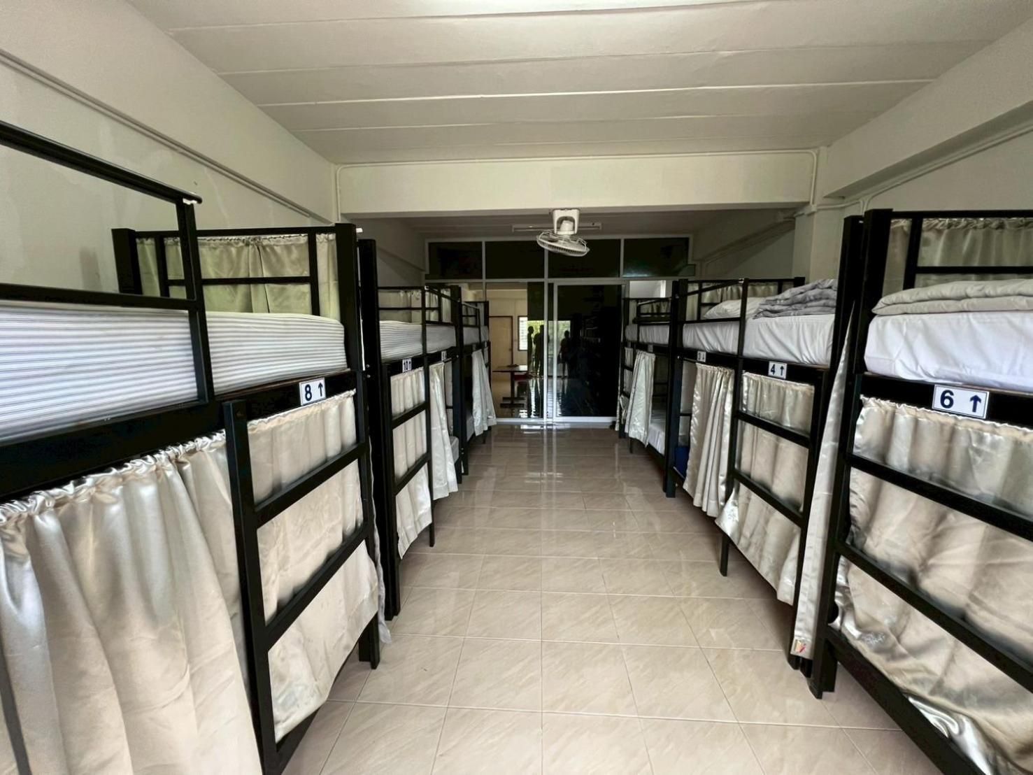 Bunk Bed in Mixed Dormitory Room