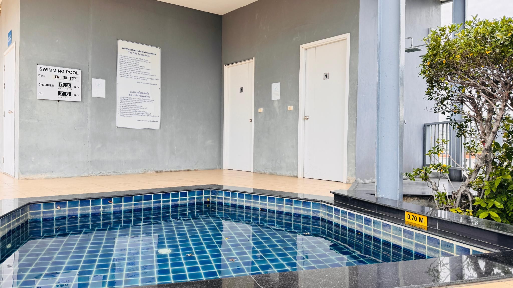 swimming pool [outdoor]