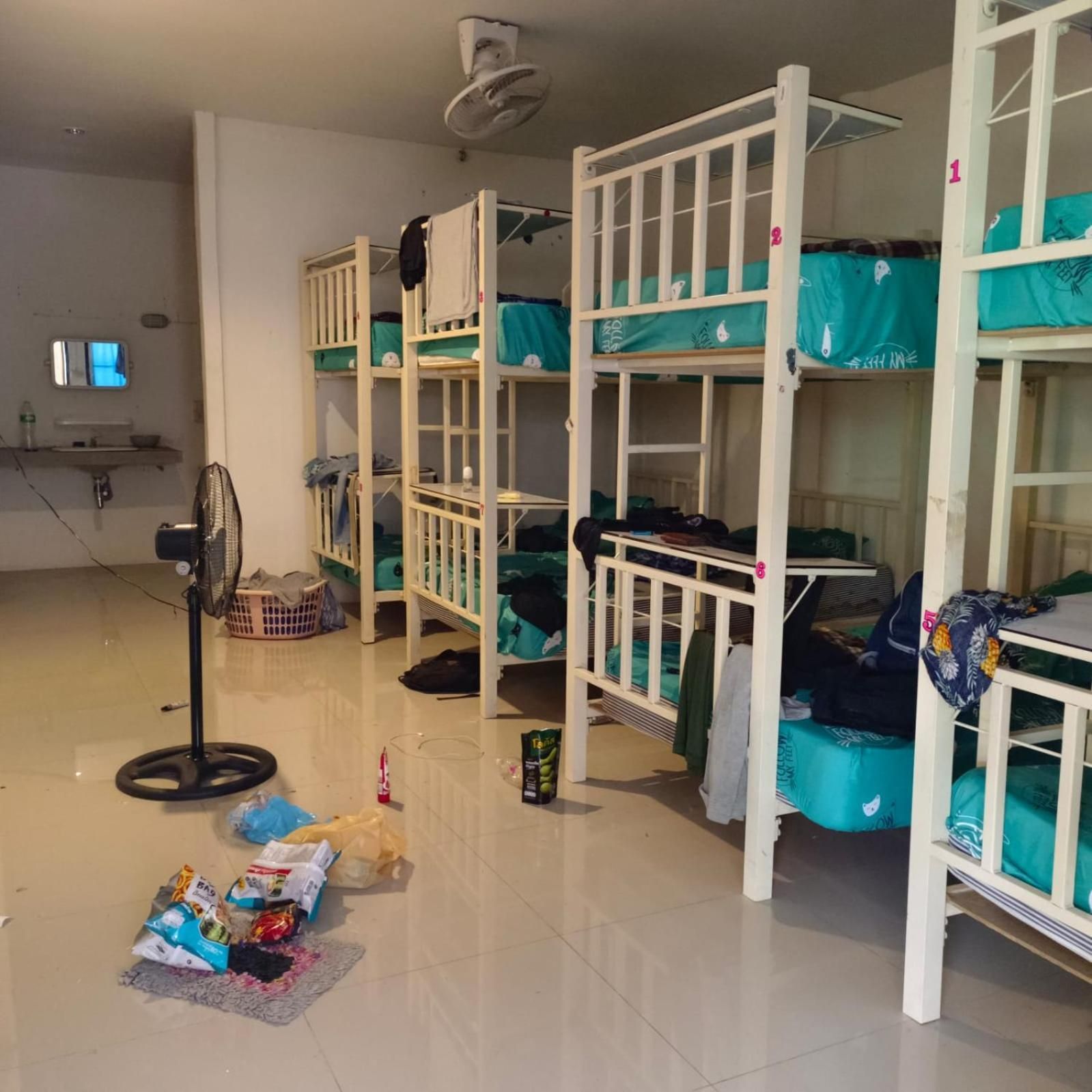 Bunk Bed in Mixed Dormitory Room