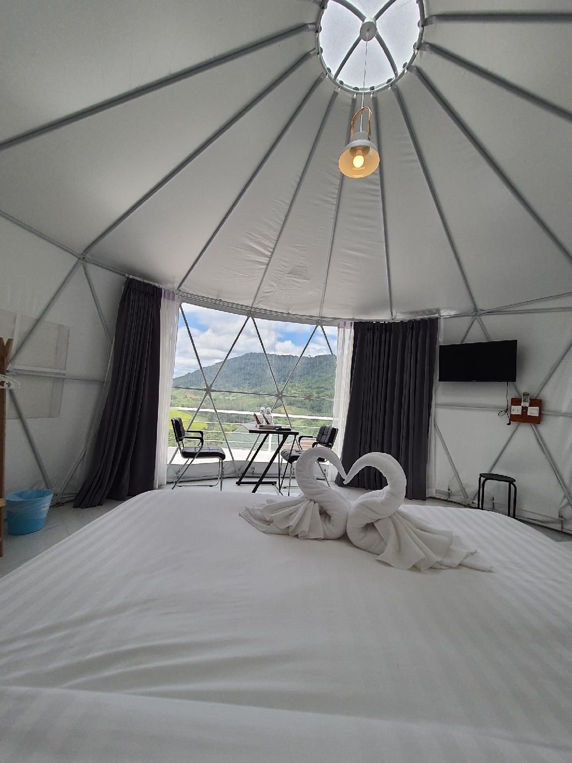 Vertigo Suite