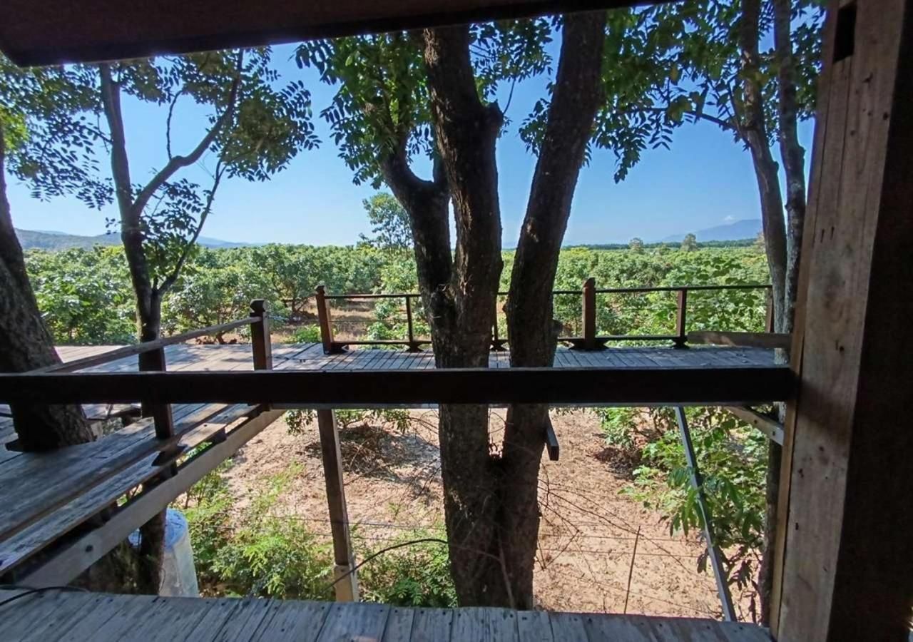 surrounding environment