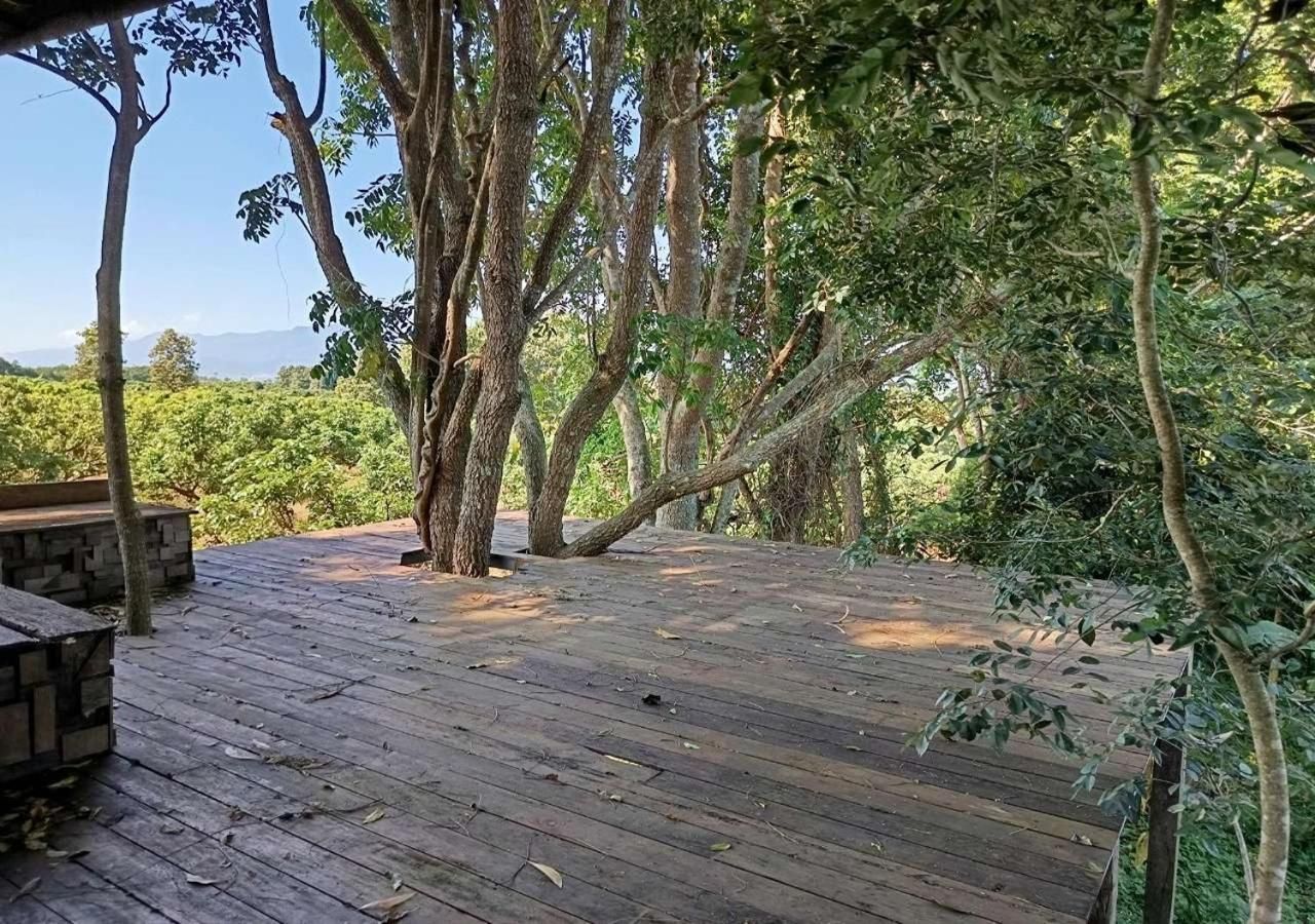 surrounding environment