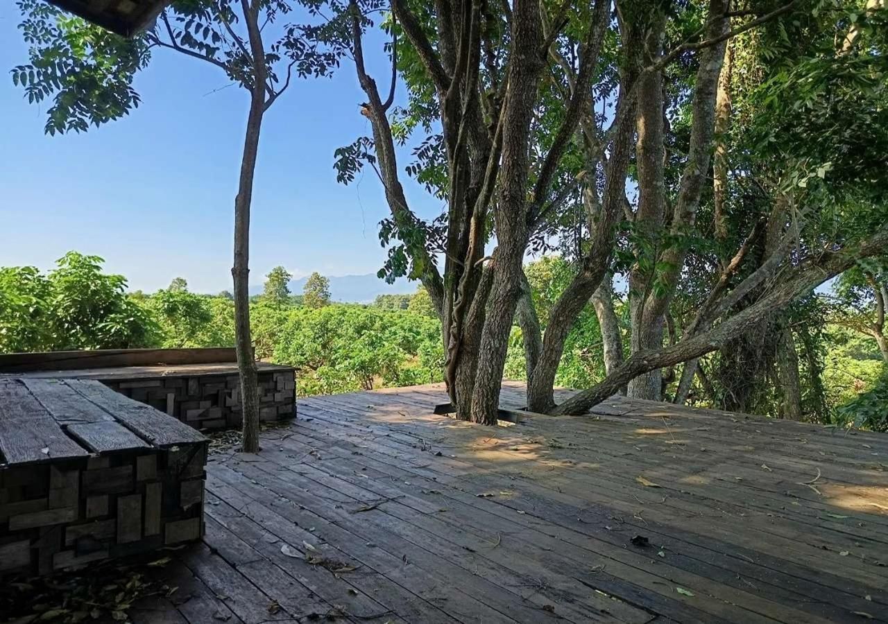 surrounding environment