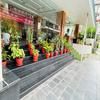Novetel Boutique Home