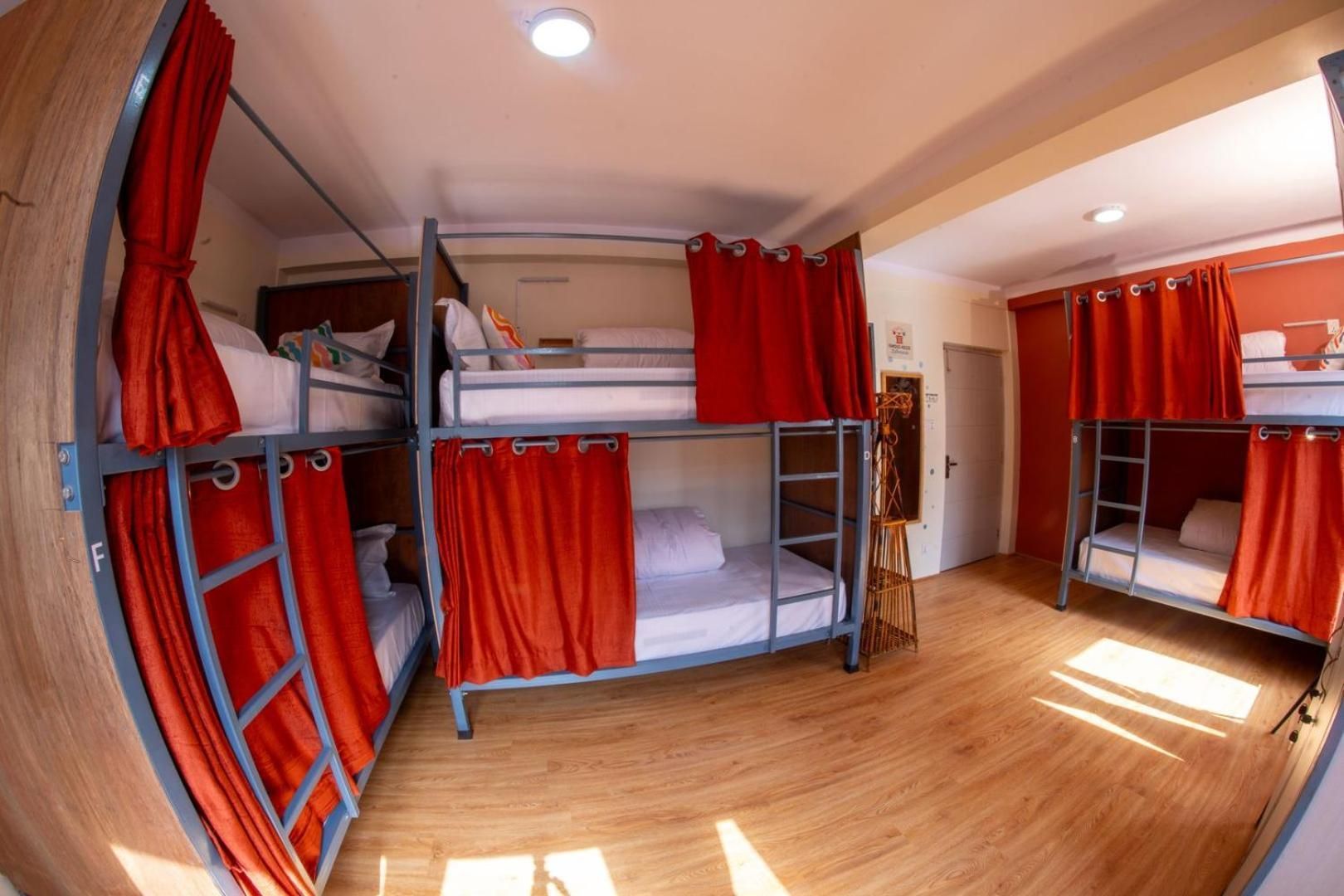 Bunk Bed in Mixed Dormitory Room