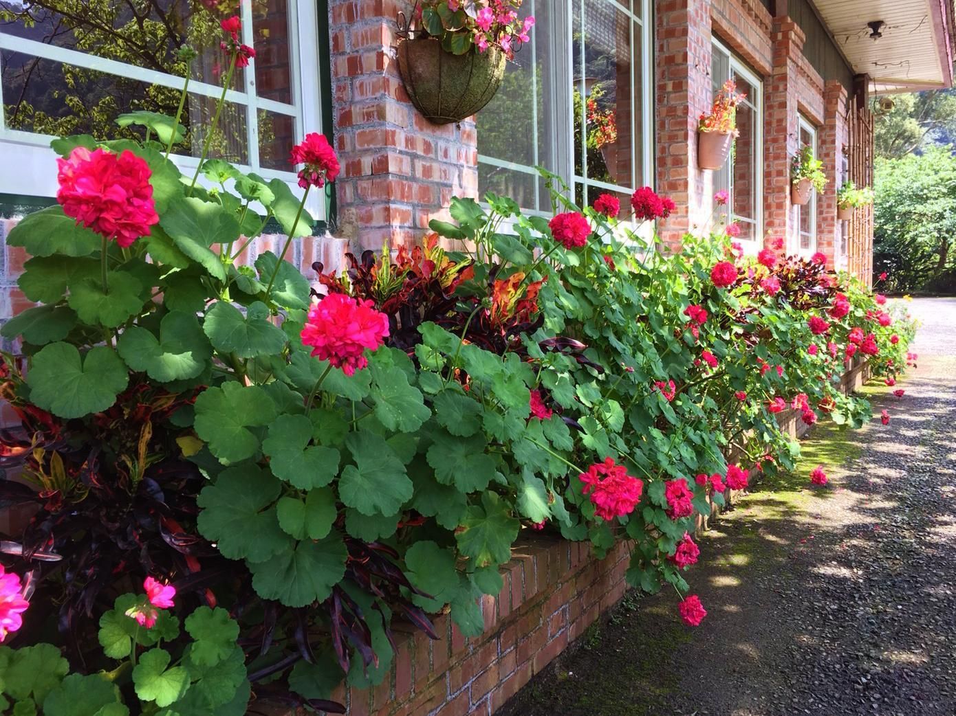 surrounding environment