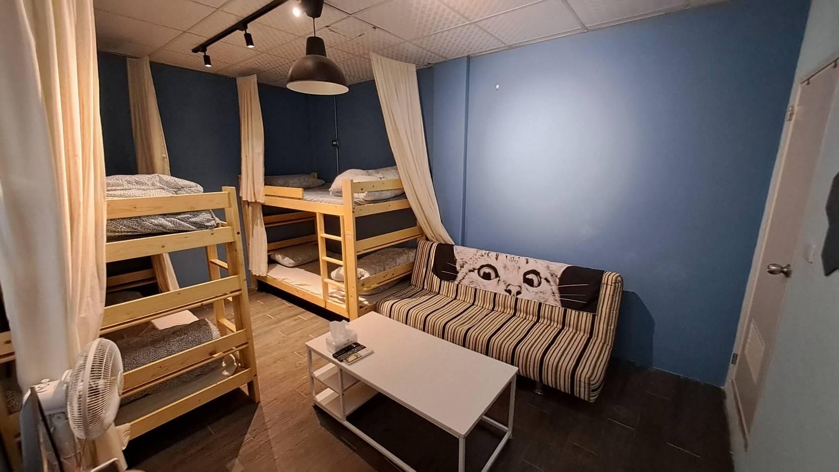 Bed in 4 Bed Female Dormitory with Private Bathroom