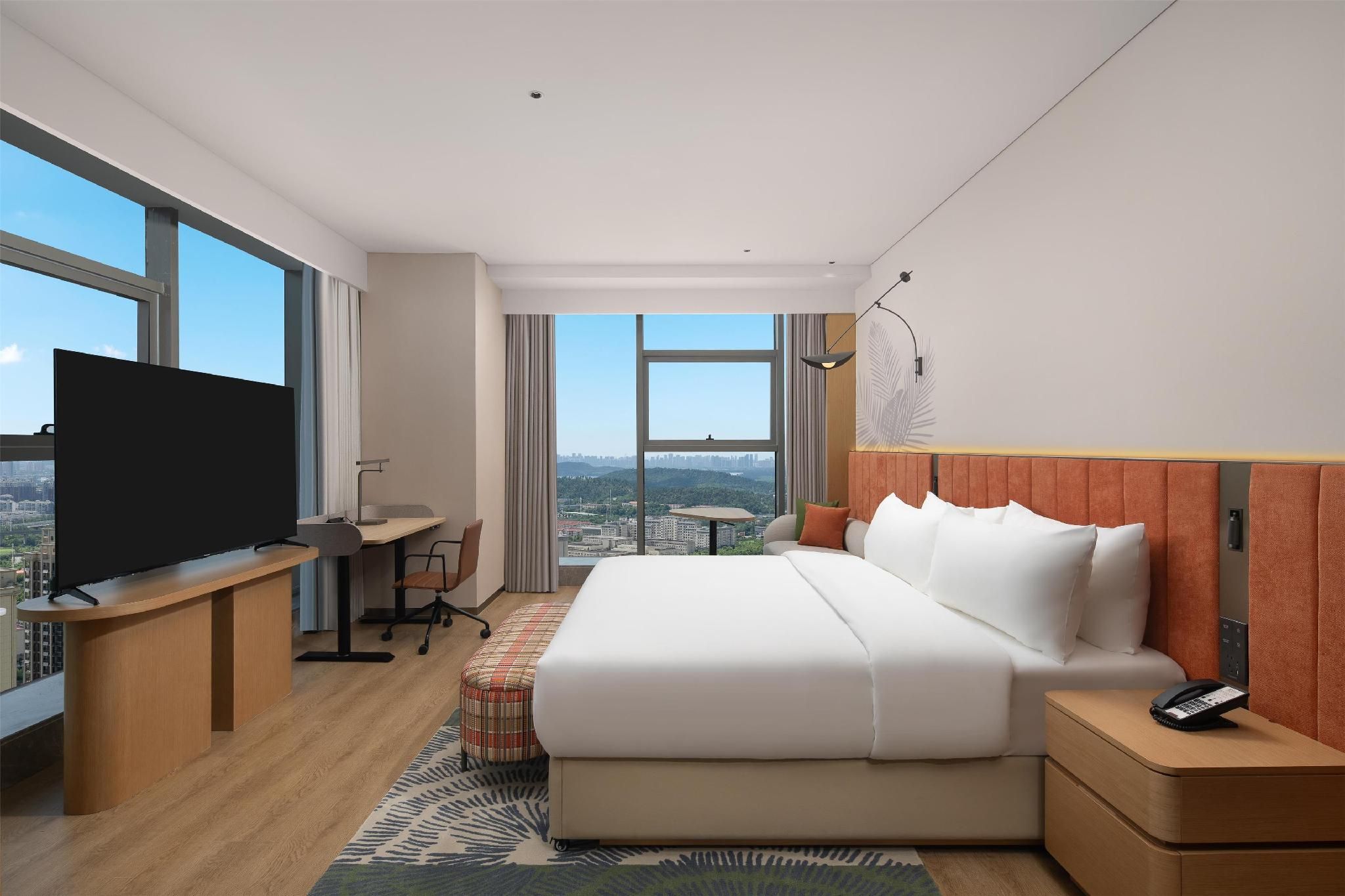 King Deluxe Room Panoramic View