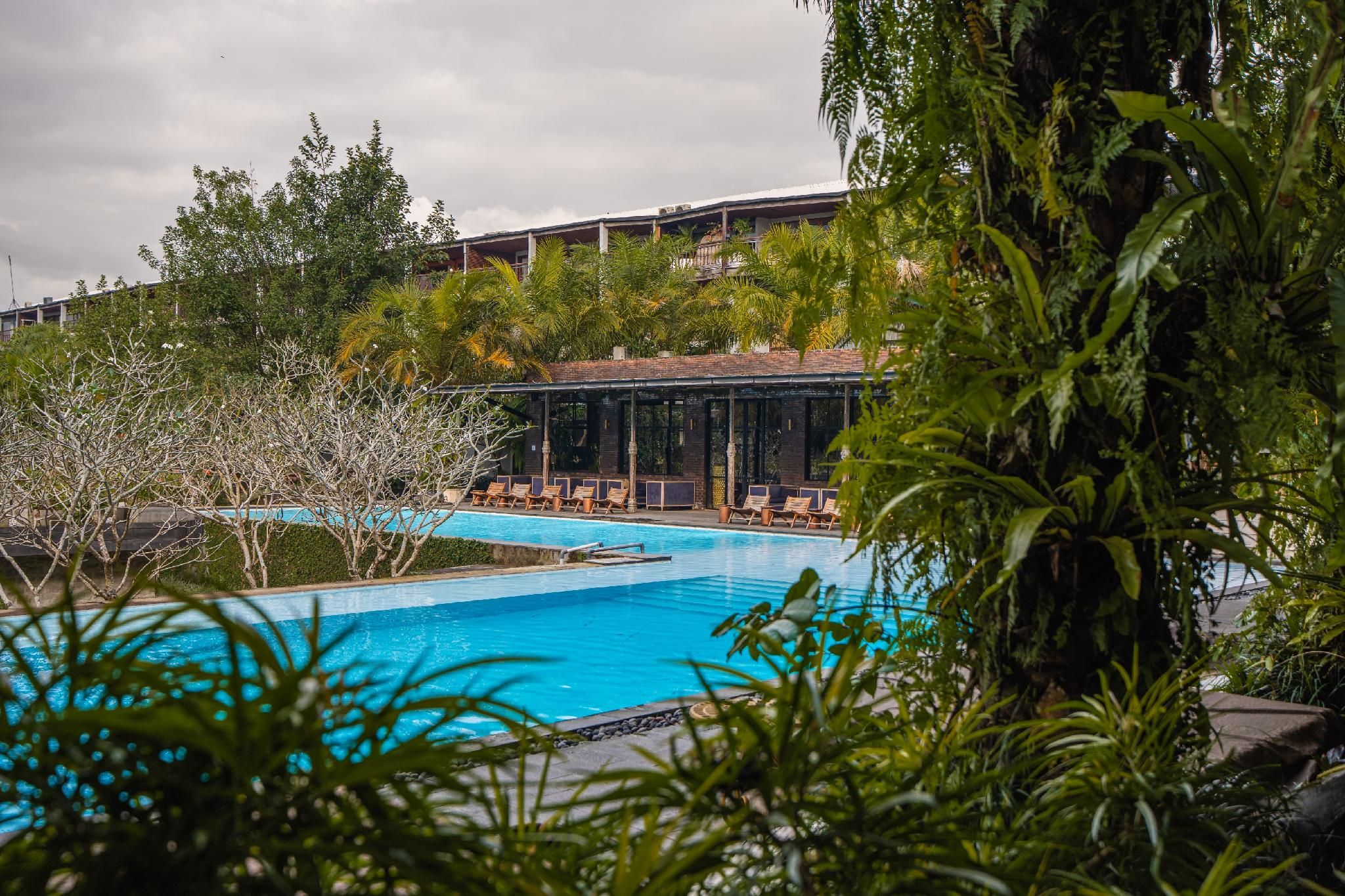 swimming pool [outdoor]