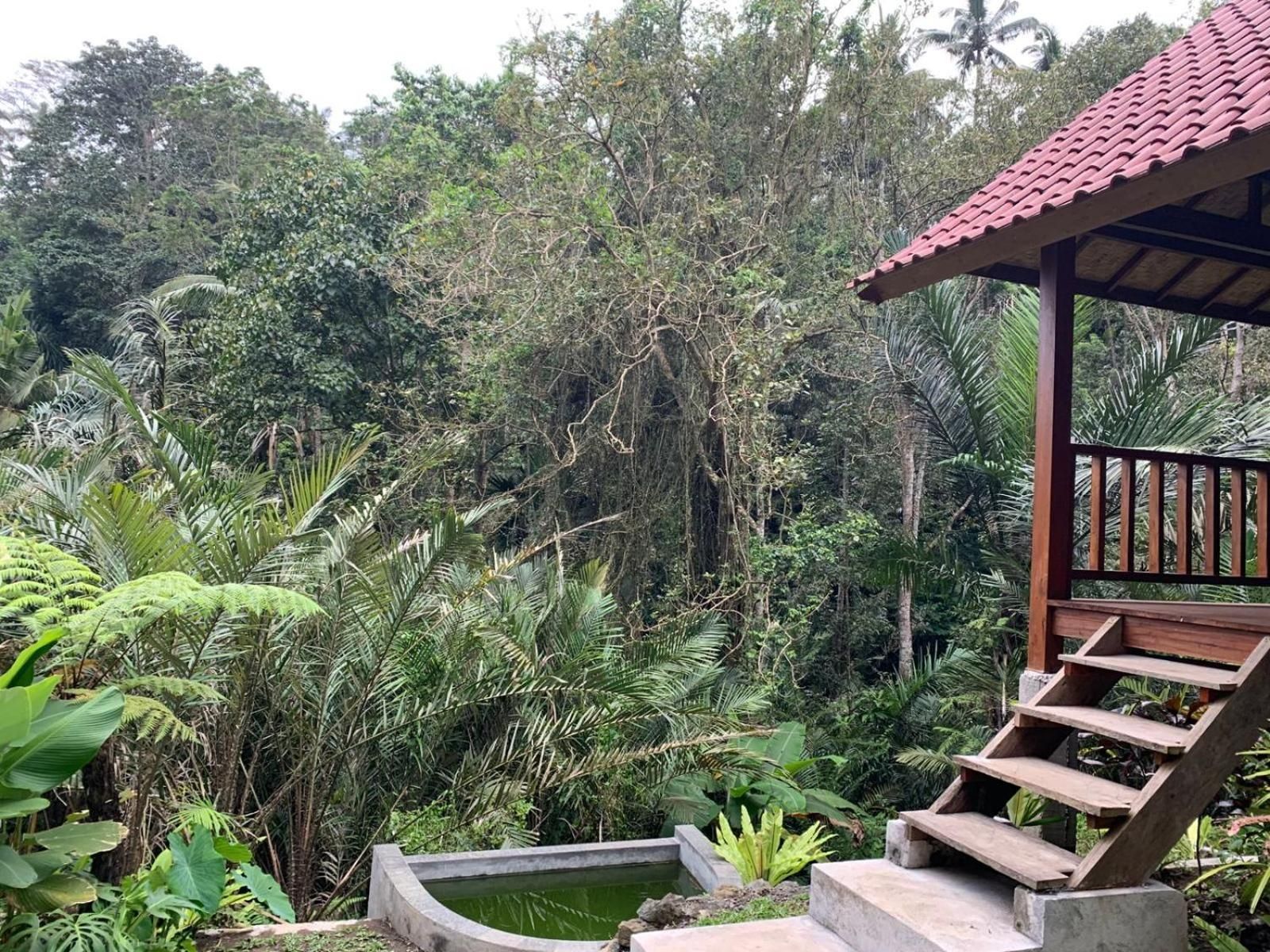The Payung House
