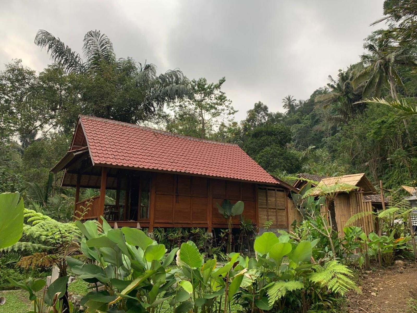 The Payung House