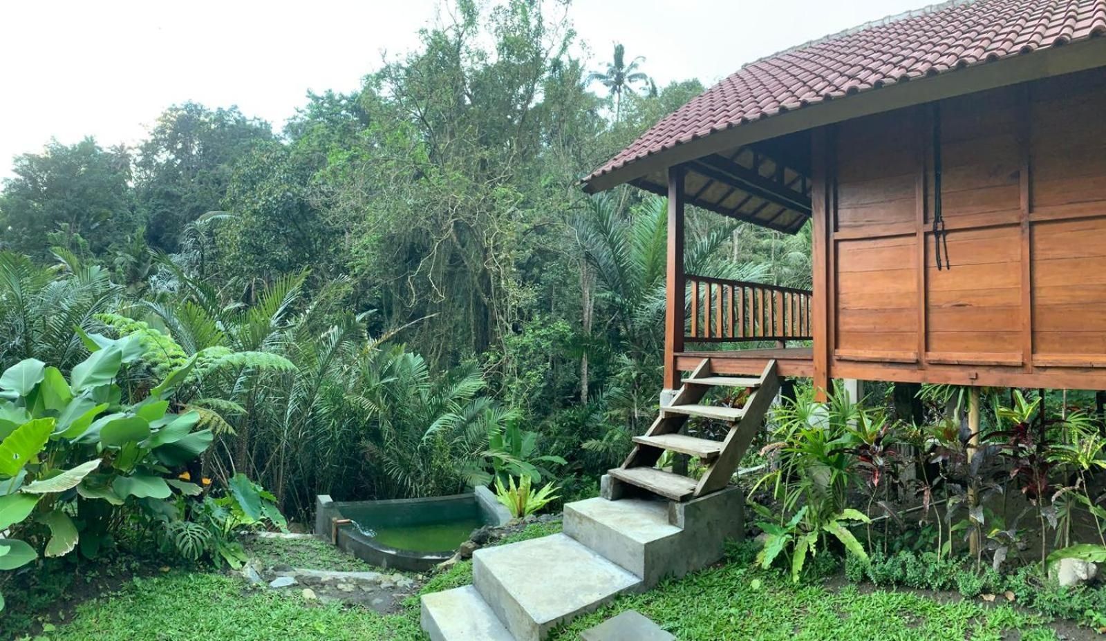 The Payung House