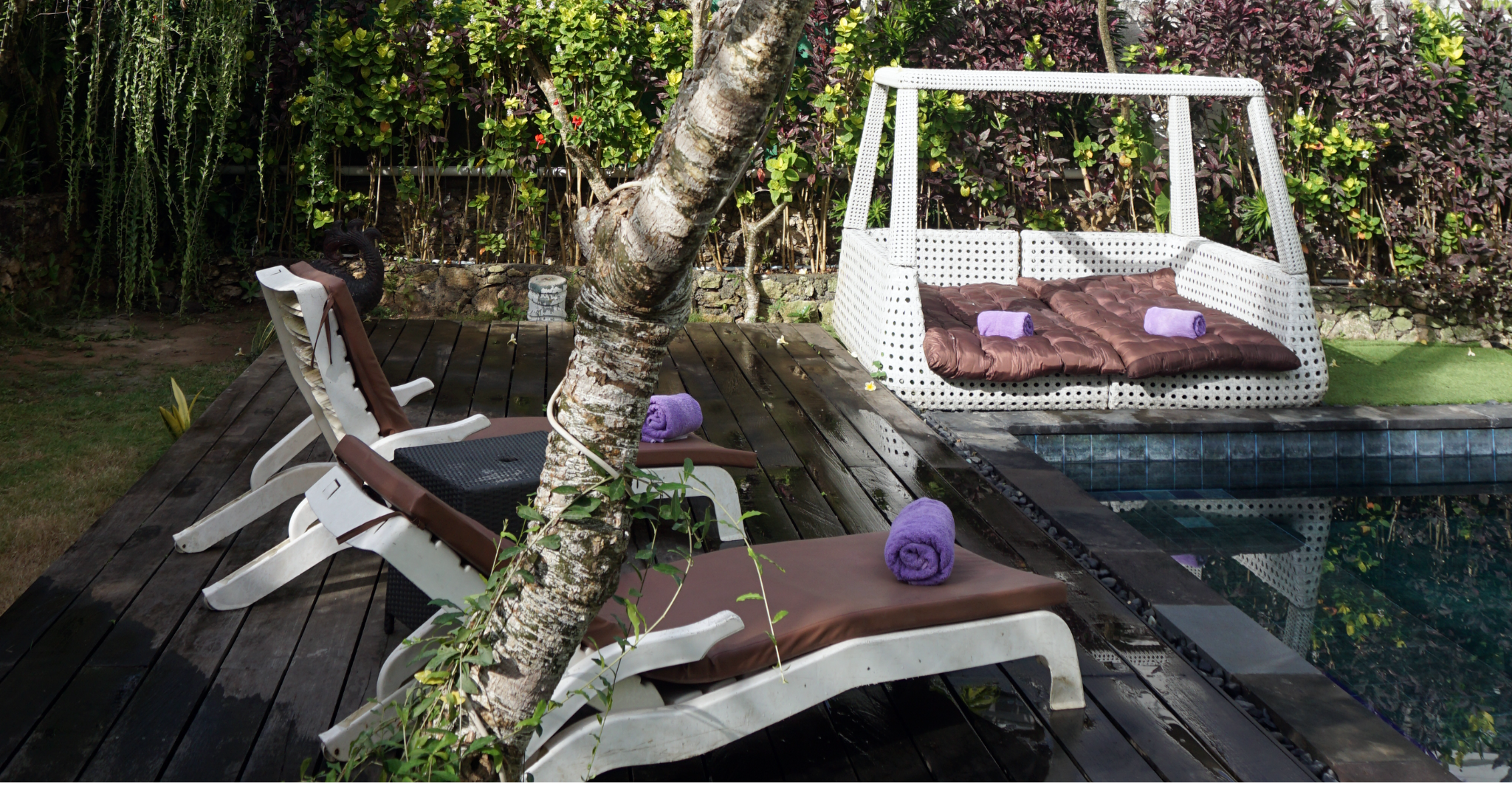 swimming pool [outdoor]