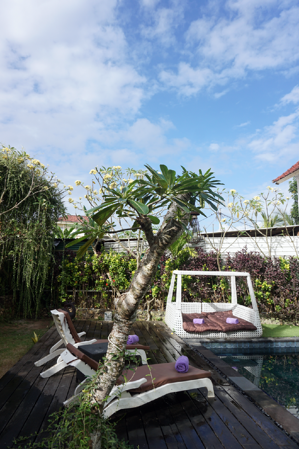 swimming pool [outdoor]