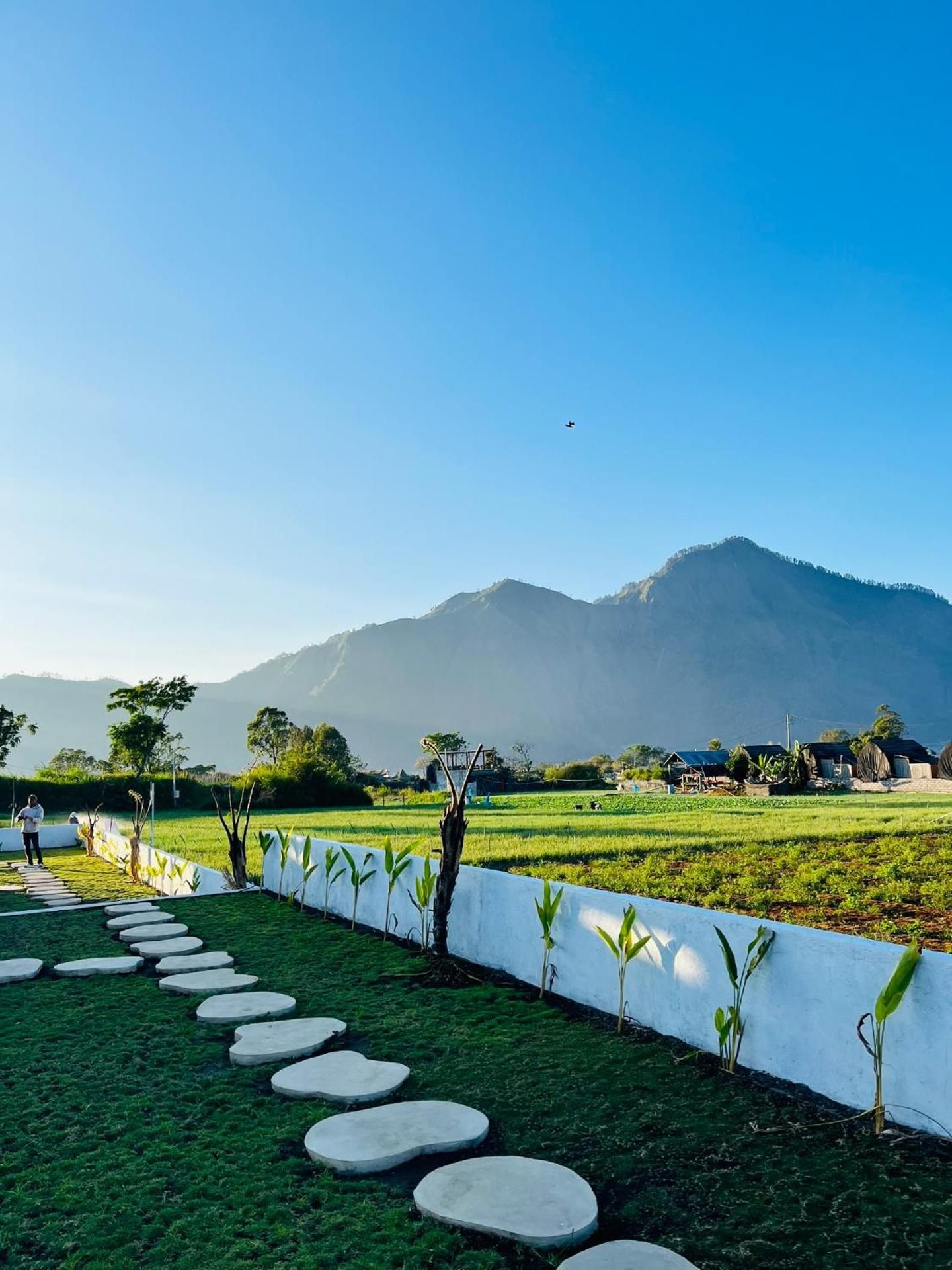 Starhill kintamani