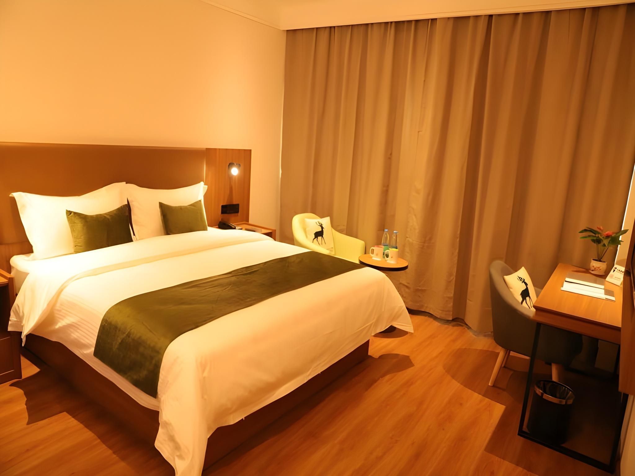 Hotel Queen Room