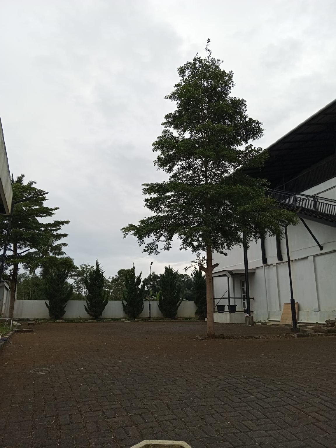 surrounding environment