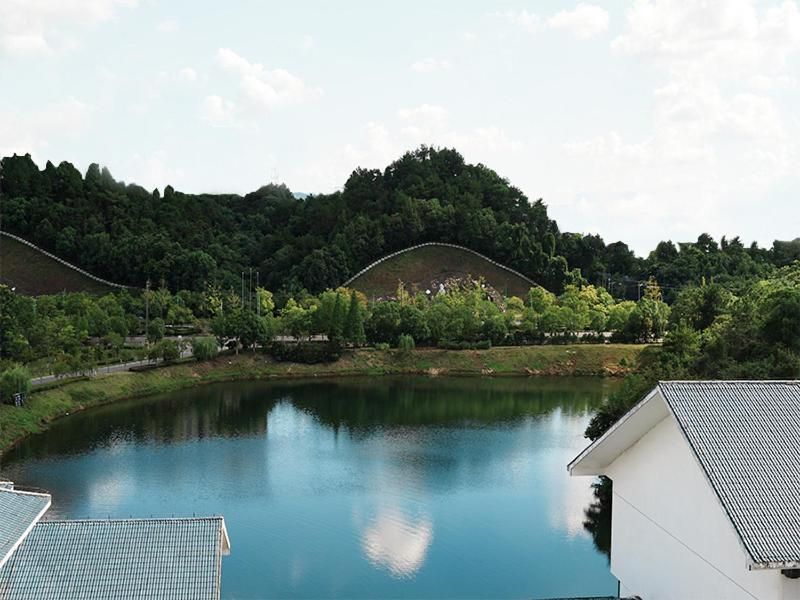 Twin Room with Lake View